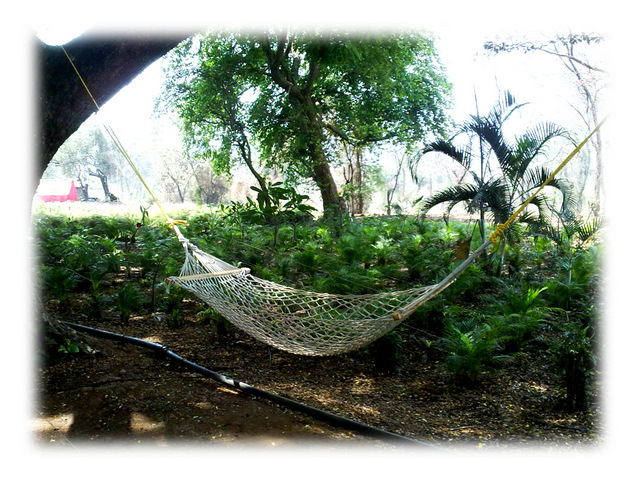 Cotton Rope Hammock